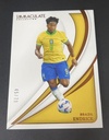 2024-25 Panini Immaculate Soccer Argentina ALEJANDRO GARNACHO RELIC CARD 1/10